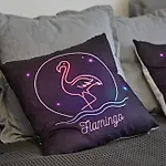 Flamingo *