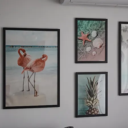 Flamingo *
